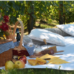 nuove-idee-team-building-outdoor-picnic
